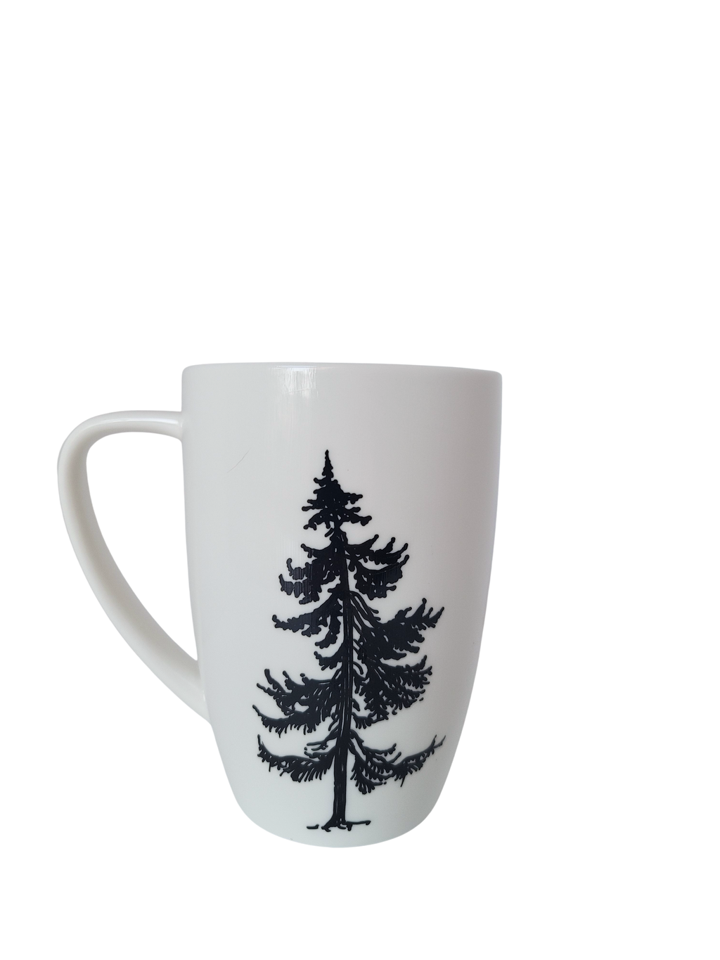 Conifer