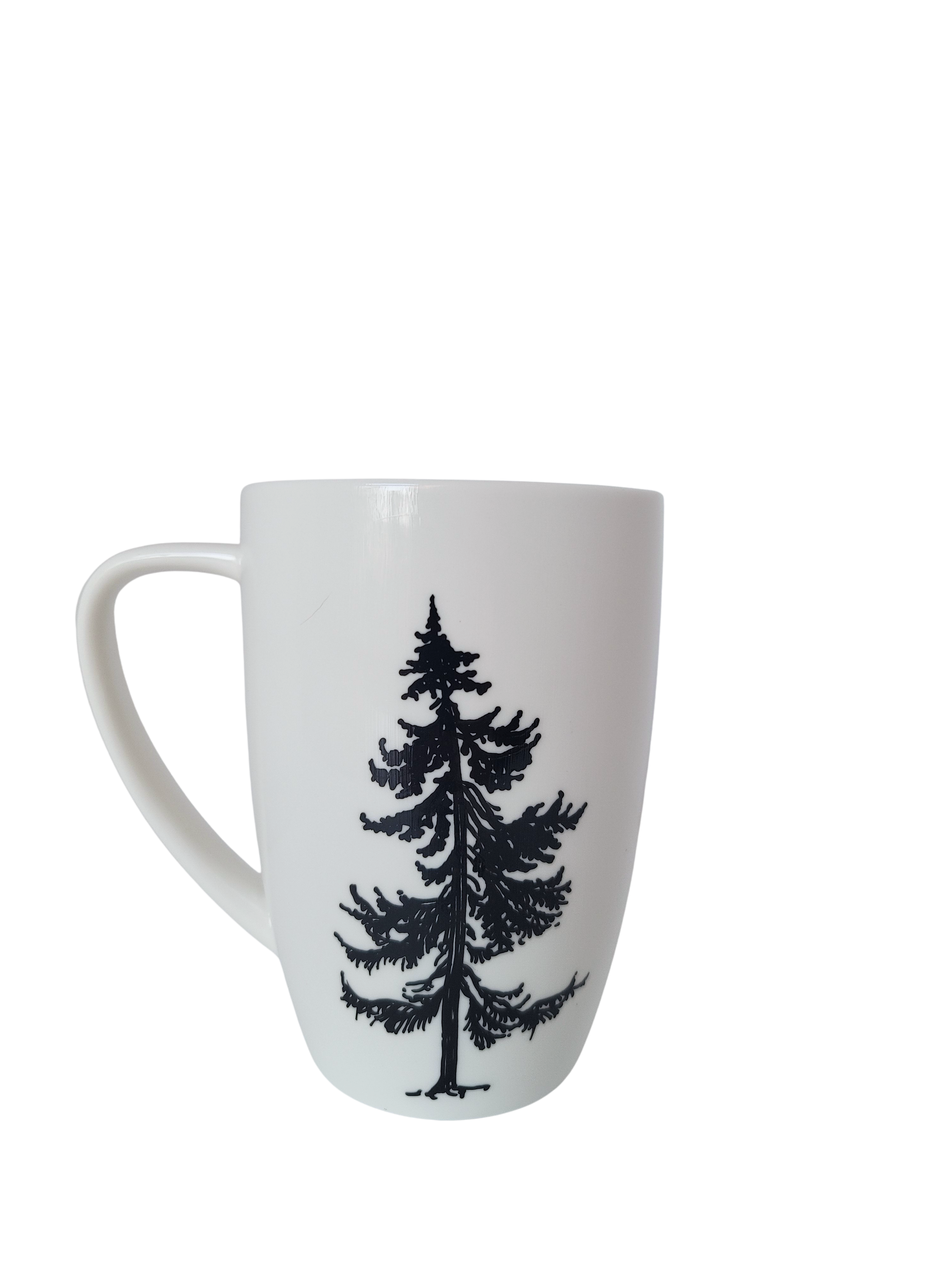 Conifer