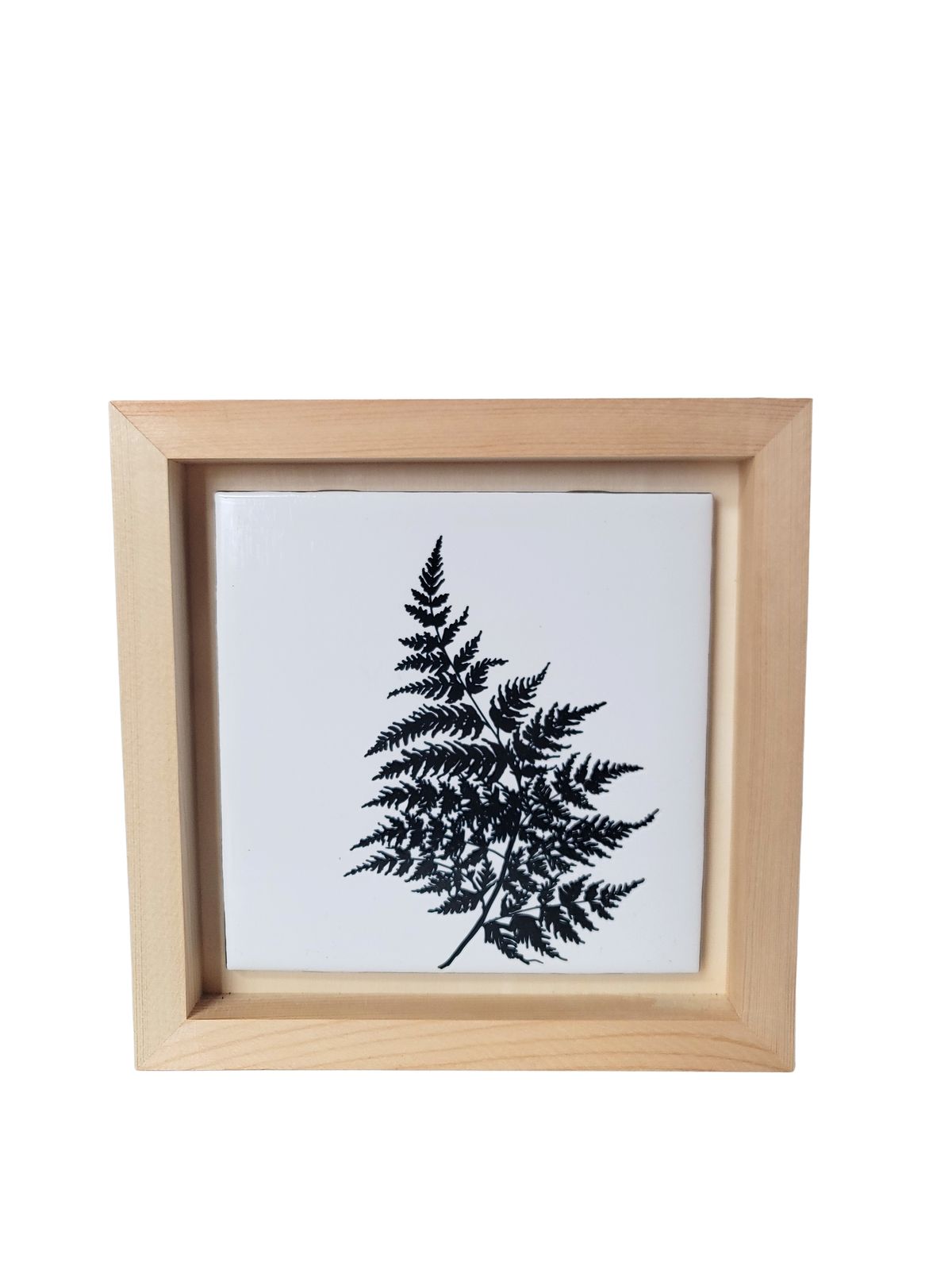 Fern & Flourish Light Framed Tile