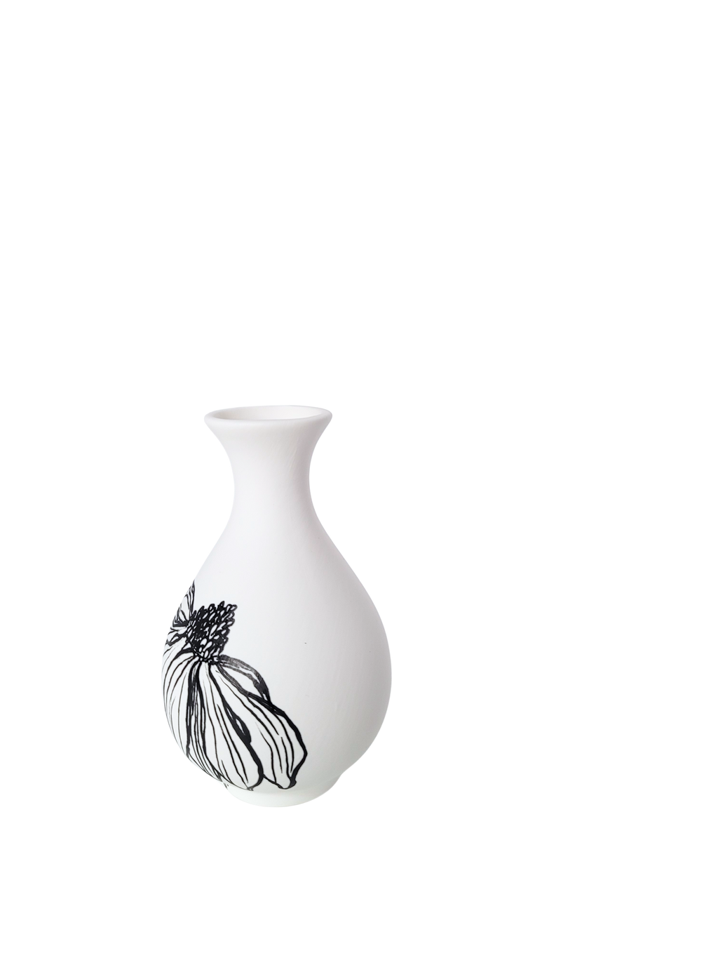 Healing Coneflower Bud Vase