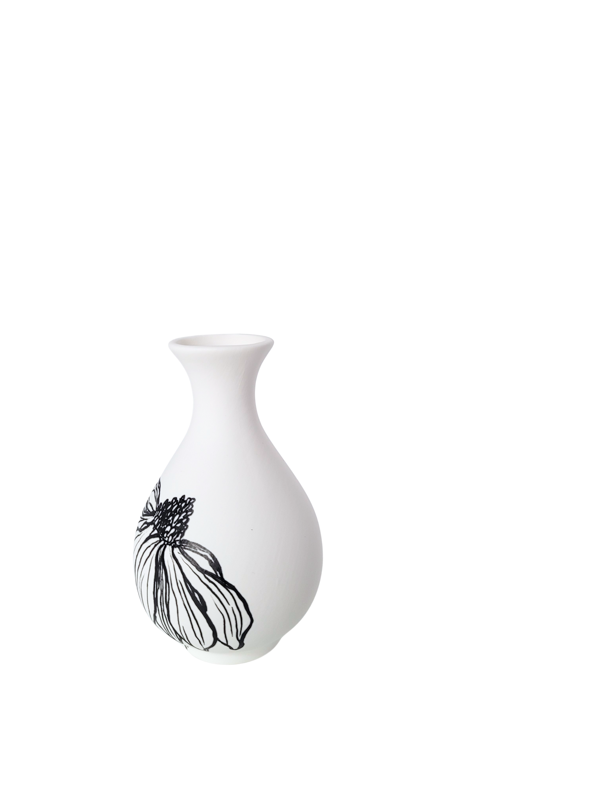 Healing Coneflower Bud Vase
