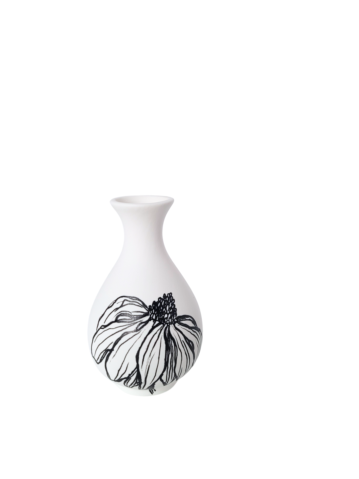Healing Coneflower Bud Vase